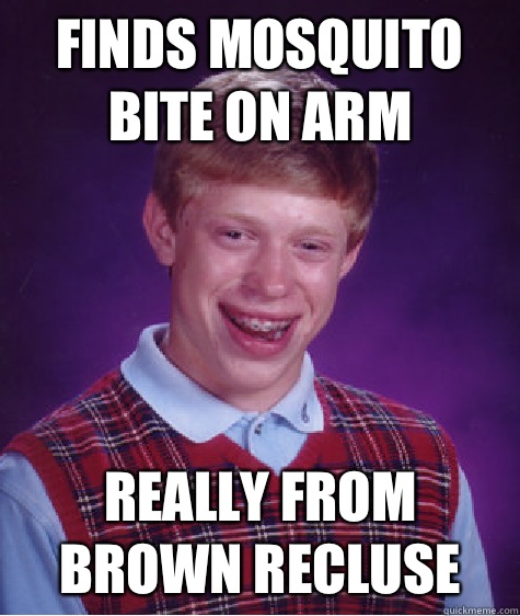 Finds mosquito bite on arm Really from Brown Recluse  Bad Luck Brian