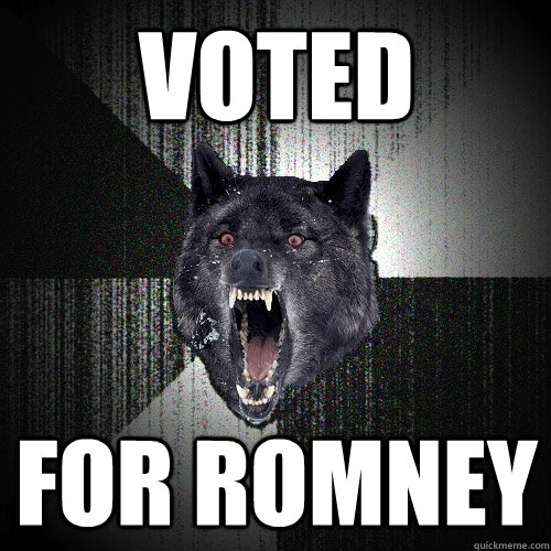Voted for Romney  Insanity Wolf