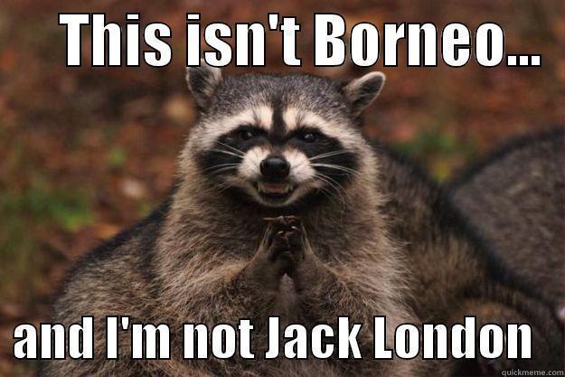      THIS ISN'T BORNEO...     AND I'M NOT JACK LONDON   Evil Plotting Raccoon