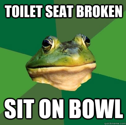 TOILET SEAT BROKEN SIT ON BOWL  Foul Bachelor Frog