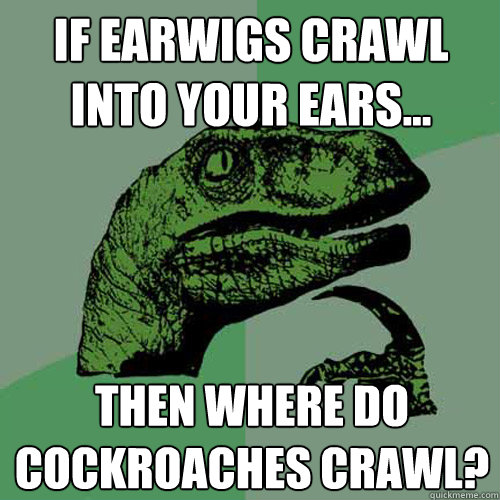 If earwigs crawl into your ears... Then where do cockroaches crawl? - If earwigs crawl into your ears... Then where do cockroaches crawl?  Philosoraptor