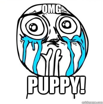 OMG PUPPY!  Crying meme