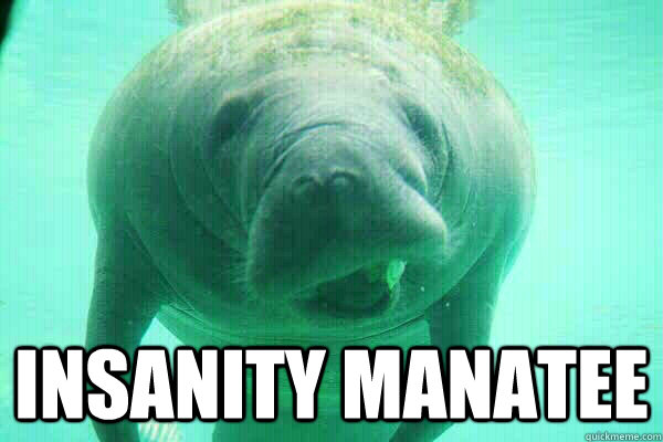 insanity manatee - insanity manatee  Insanity Manatee