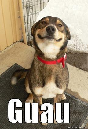  GUAU  Good Dog Greg
