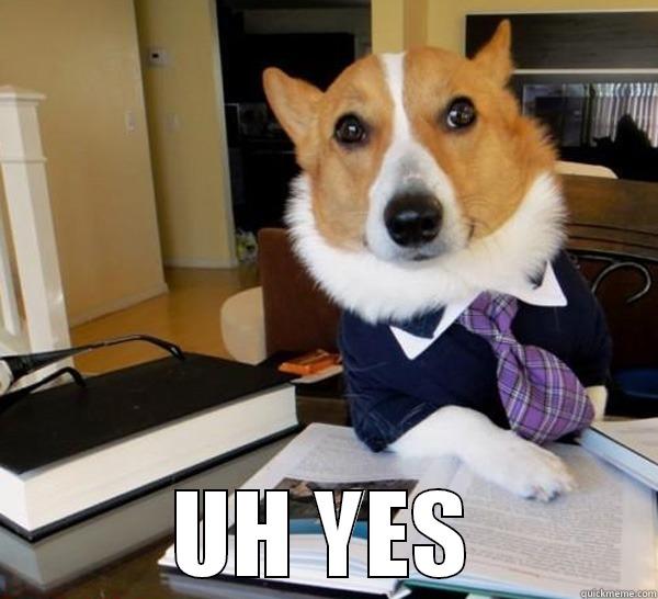            UH YES Lawyer Dog