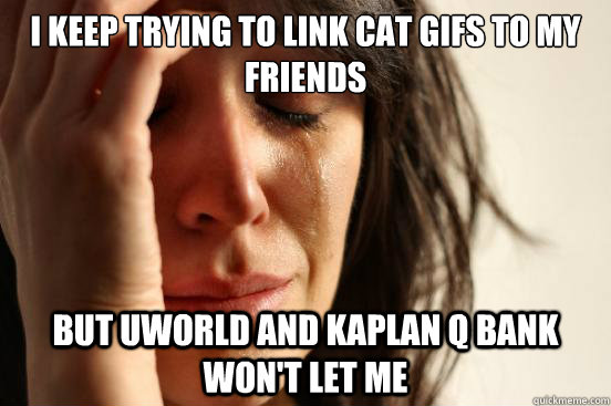 I keep trying to link cat gifs to my friends But Uworld and kaplan Q bank won't let me  First World Problems