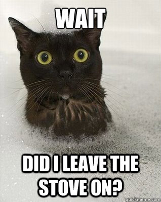 Wait Did I leave the stove on? - Wait Did I leave the stove on?  Forgettful Kitten