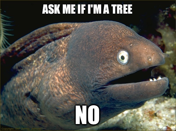 Ask me if I'm a tree No - Ask me if I'm a tree No  Bad Joke Eel