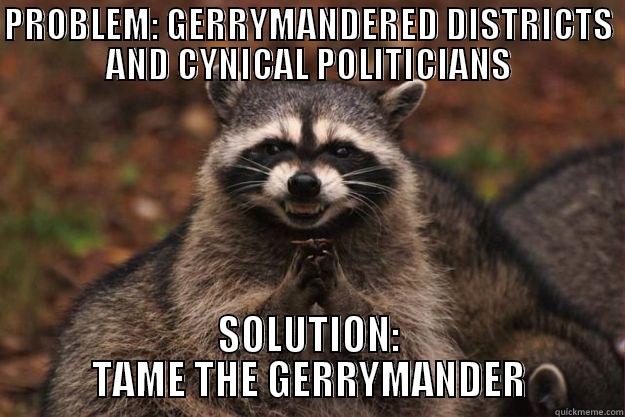 problem. i hab solution. - PROBLEM: GERRYMANDERED DISTRICTS AND CYNICAL POLITICIANS SOLUTION: TAME THE GERRYMANDER Evil Plotting Raccoon