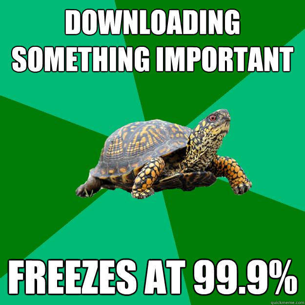 downloading something important freezes at 99.9% - downloading something important freezes at 99.9%  Torrenting Turtle