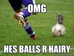 omg hes balls r hairy - omg hes balls r hairy  funny animals