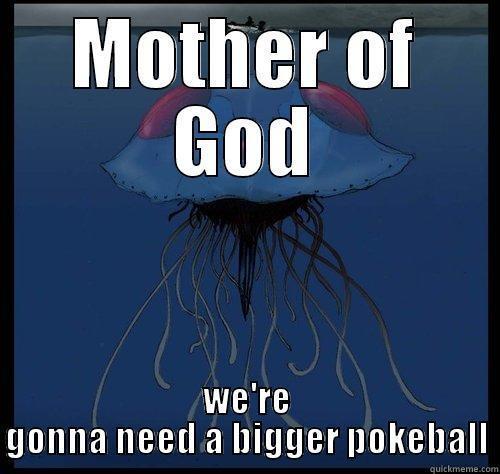 MOTHER OF GOD WE'RE GONNA NEED A BIGGER POKEBALL Condescending Wonka