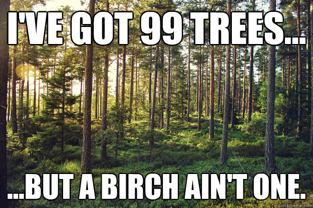 I've got 99 Trees... ...but a Birch ain't one. - I've got 99 Trees... ...but a Birch ain't one.  Trees