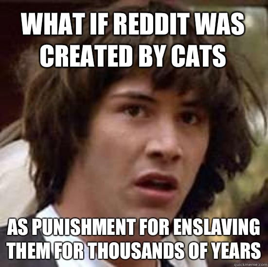 What if Reddit was created by cats as punishment for enslaving them for thousands of years - What if Reddit was created by cats as punishment for enslaving them for thousands of years  conspiracy keanu