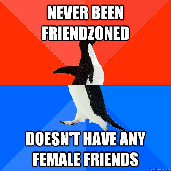 Never been friendzoned Doesn't have any female friends  Socially Awesome Awkward Penguin