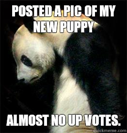 Posted a pic of my new puppy Almost no up votes.  Sad Panda