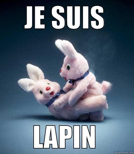 JE SUIS LAPIN Misc