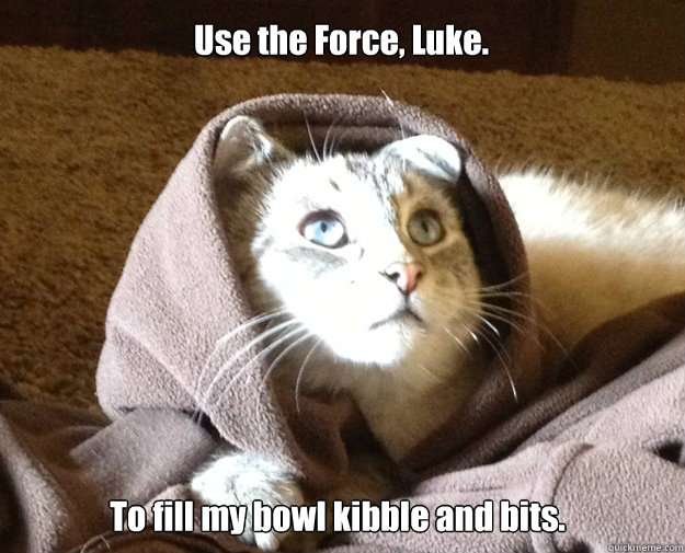 Use the Force, Luke. To fill my bowl kibble and bits.   Kitty Jesus