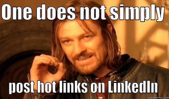 ONE DOES NOT SIMPLY  POST HOT LINKS ON LINKEDIN Boromir