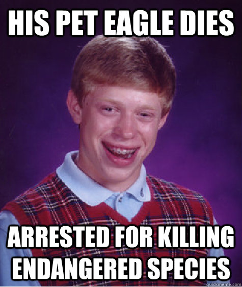 his pet eagle dies arrested for killing endangered species  Bad Luck Brian