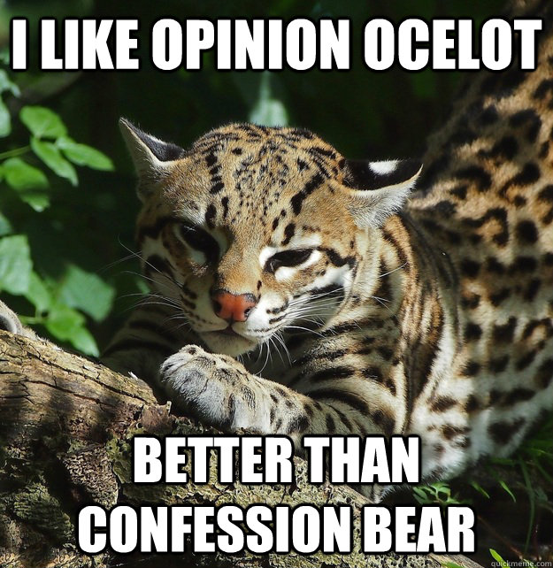 I like opinion ocelot better than confession bear  