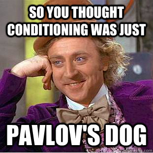 So you thought conditioning was just  Pavlov's dog - So you thought conditioning was just  Pavlov's dog  Condescending Wonka