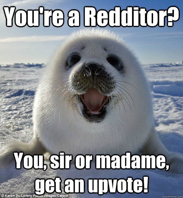 You're a Redditor? You, sir or madame, get an upvote!  Easily Pleased Seal