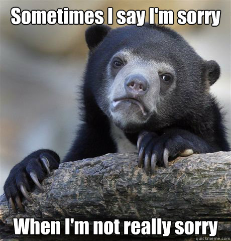 Sometimes I say I'm sorry When I'm not really sorry  Confession Bear