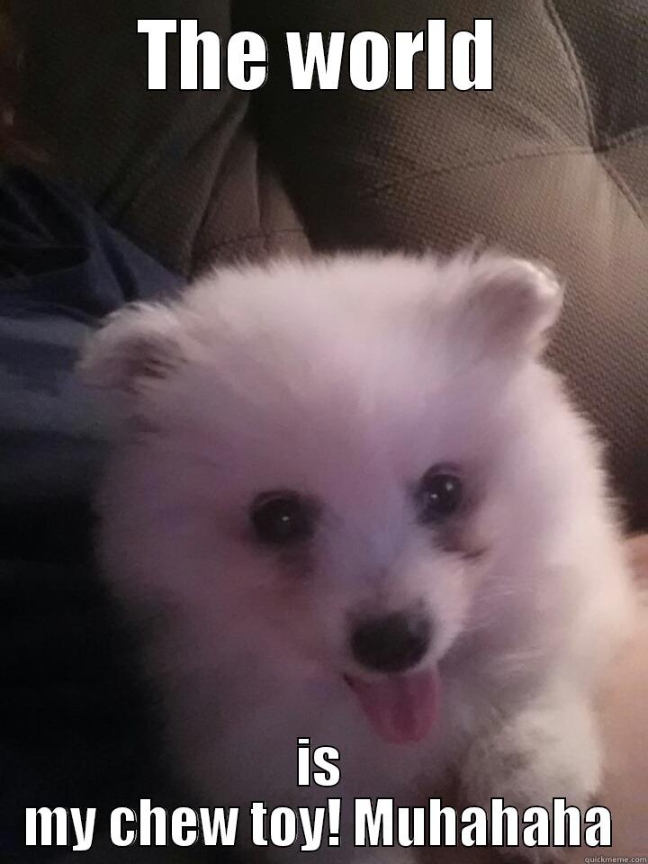 THE WORLD IS MY CHEW TOY! MUHAHAHA Misc