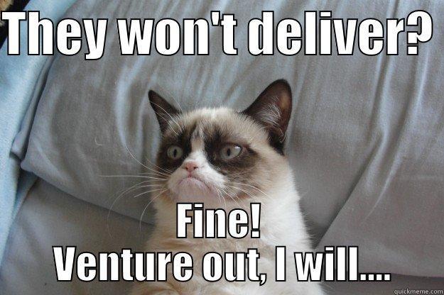 Lunch Fine! - THEY WON'T DELIVER?  FINE!  VENTURE OUT, I WILL.... Grumpy Cat