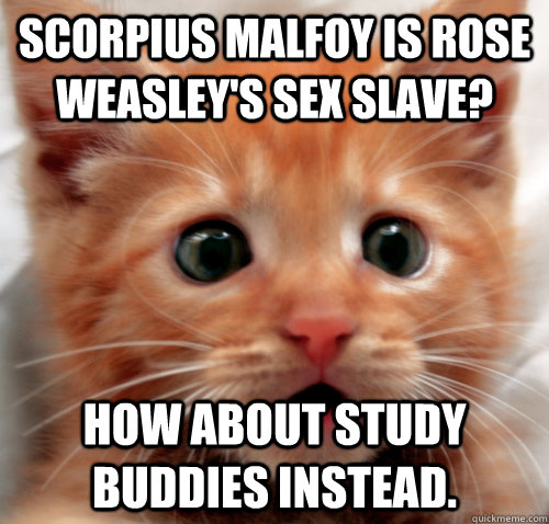 Scorpius Malfoy is Rose Weasley's sex slave? How about study buddies instead.  
