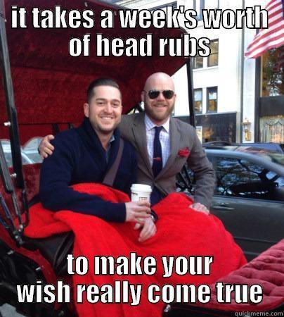 IT TAKES A WEEK'S WORTH OF HEAD RUBS TO MAKE YOUR WISH REALLY COME TRUE Misc