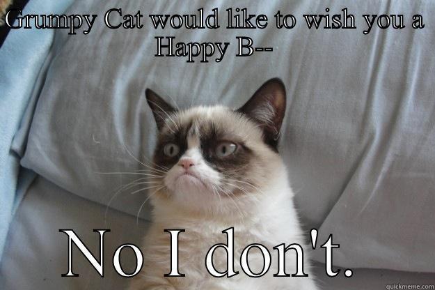 GRUMPY CAT WOULD LIKE TO WISH YOU A HAPPY B-- NO I DON'T. Grumpy Cat