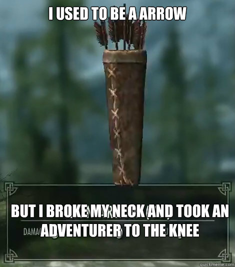 I Used to be a arrow But i broke my neck and took an adventurer to the knee  