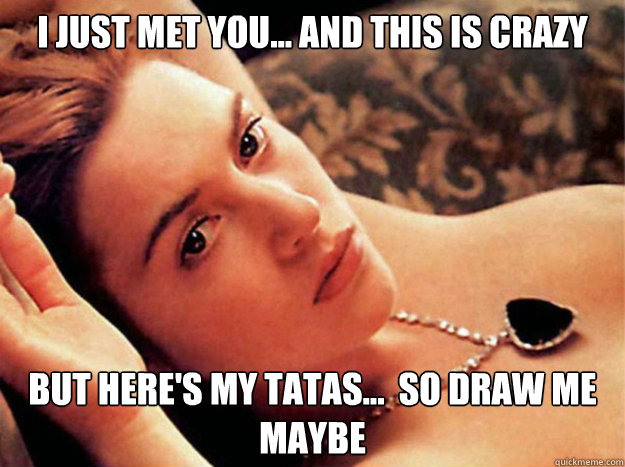 I just met you... and this is crazy But here's my tatas...  so draw me maybe  