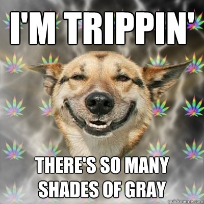 i'm trippin' There's so many shades of gray   Stoner Dog