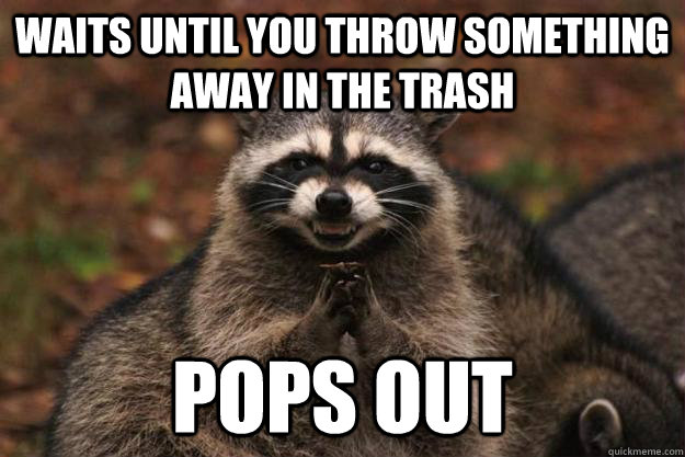 waits until you throw something away in the trash pops out  Evil Plotting Raccoon