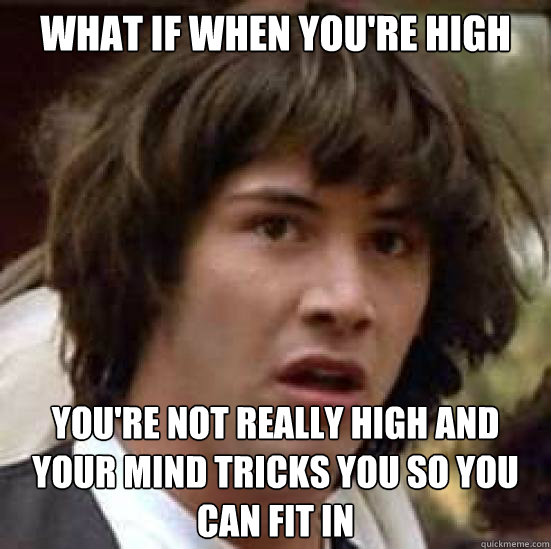 What if when you're high You're not really high and your mind tricks you so you can fit in  conspiracy keanu
