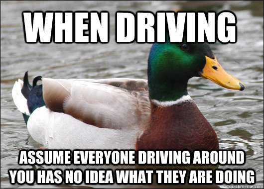 When driving assume everyone driving around you has no idea what they are doing  Actual Advice Mallard