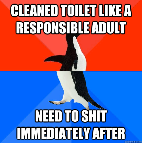 Cleaned toilet like a responsible adult Need to shit immediately after  Socially Awesome Awkward Penguin
