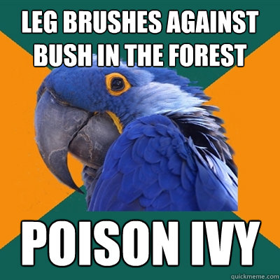leg brushes against bush in the forest poison ivy  Paranoid Parrot