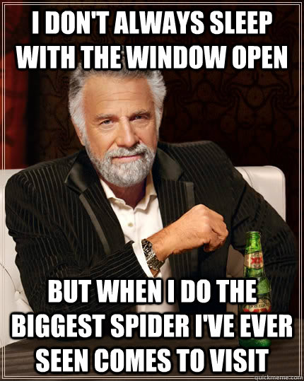 I don't always sleep with the window open but when I do the biggest spider I've ever seen comes to visit  The Most Interesting Man In The World