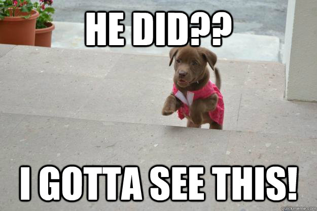 he did?? I gotta see this! - he did?? I gotta see this!  Misc