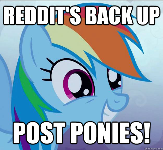 Reddit's Back up post ponies! - Reddit's Back up post ponies!  Rainbow Dash DO WANT