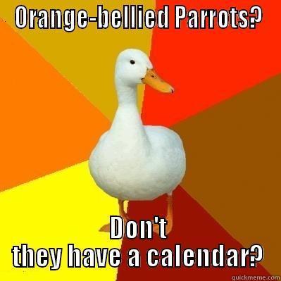 ORANGE-BELLIED PARROTS? DON'T THEY HAVE A CALENDAR? Tech Impaired Duck
