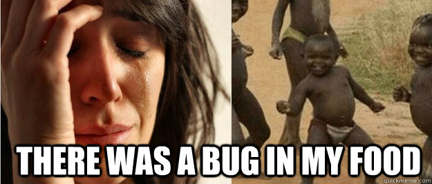 There was a bug in my food  First world problem third world success