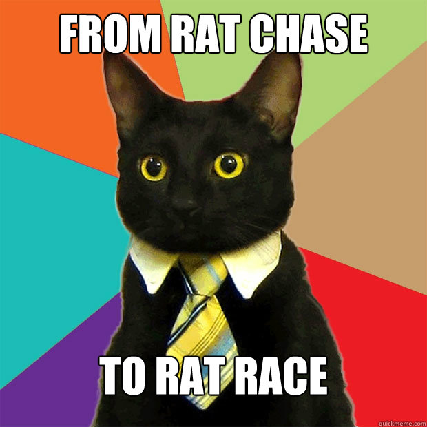 From Rat Chase To Rat Race - From Rat Chase To Rat Race  Business Cat