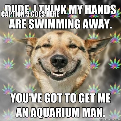dude, I think my hands are swimming away. You've got to get me an aquarium man. Caption 3 goes here  Stoner Dog