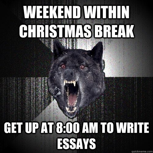 weekend within christmas break get up at 8:00 am to write essays  Insanity Wolf