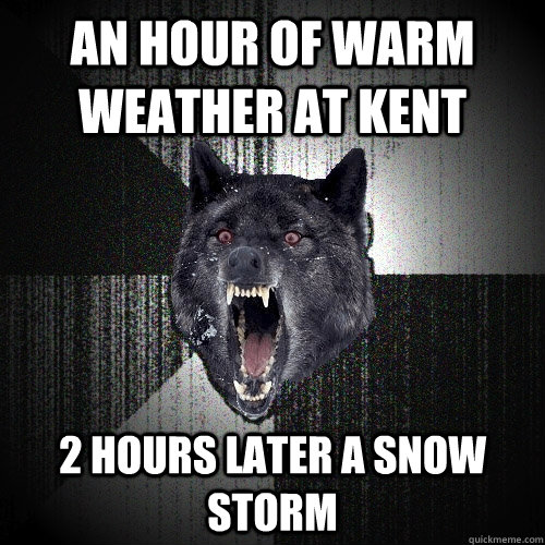 an hour of warm weather at kent  2 hours later a snow storm  Insanity Wolf